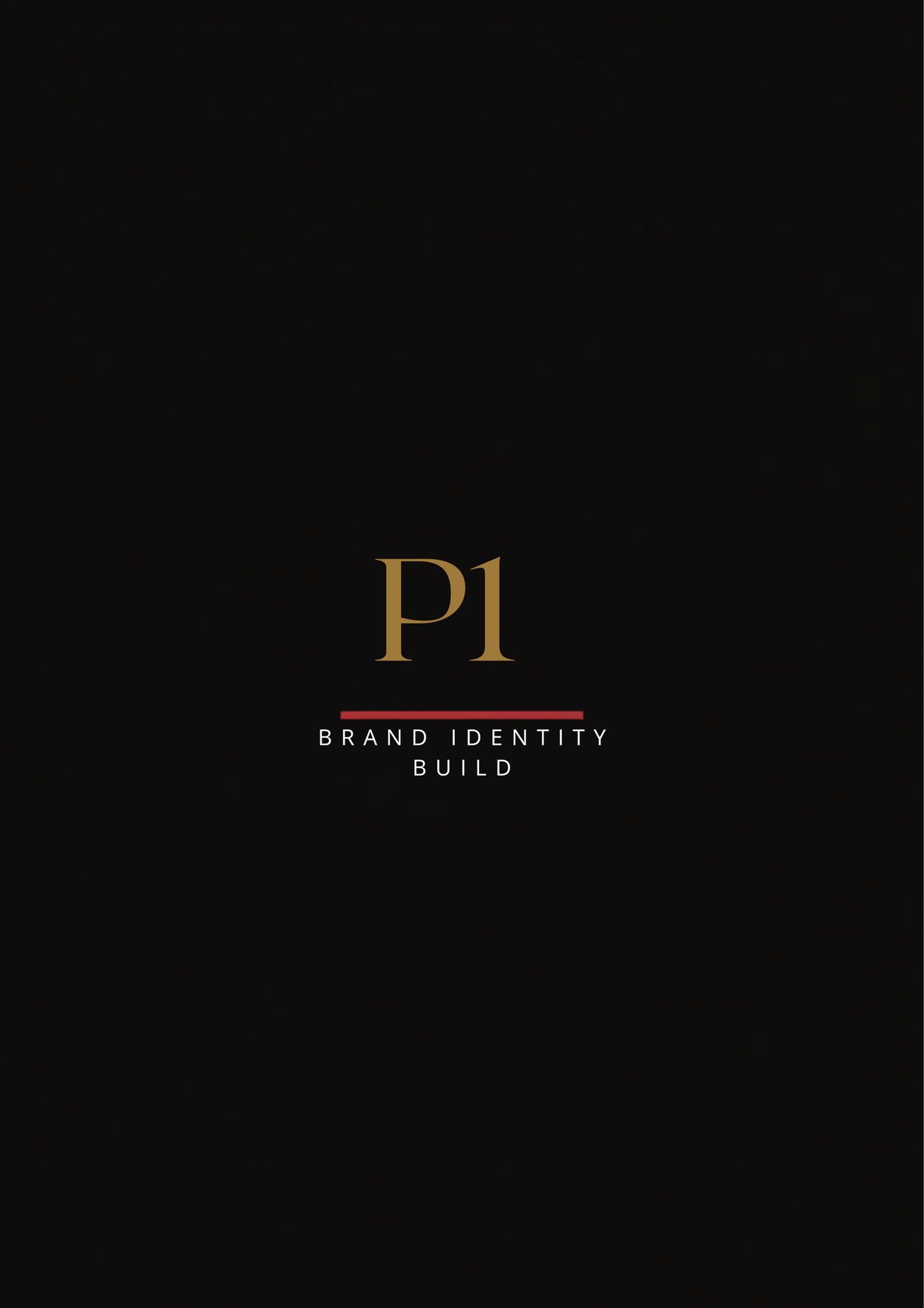 Brand Identity Build — P1